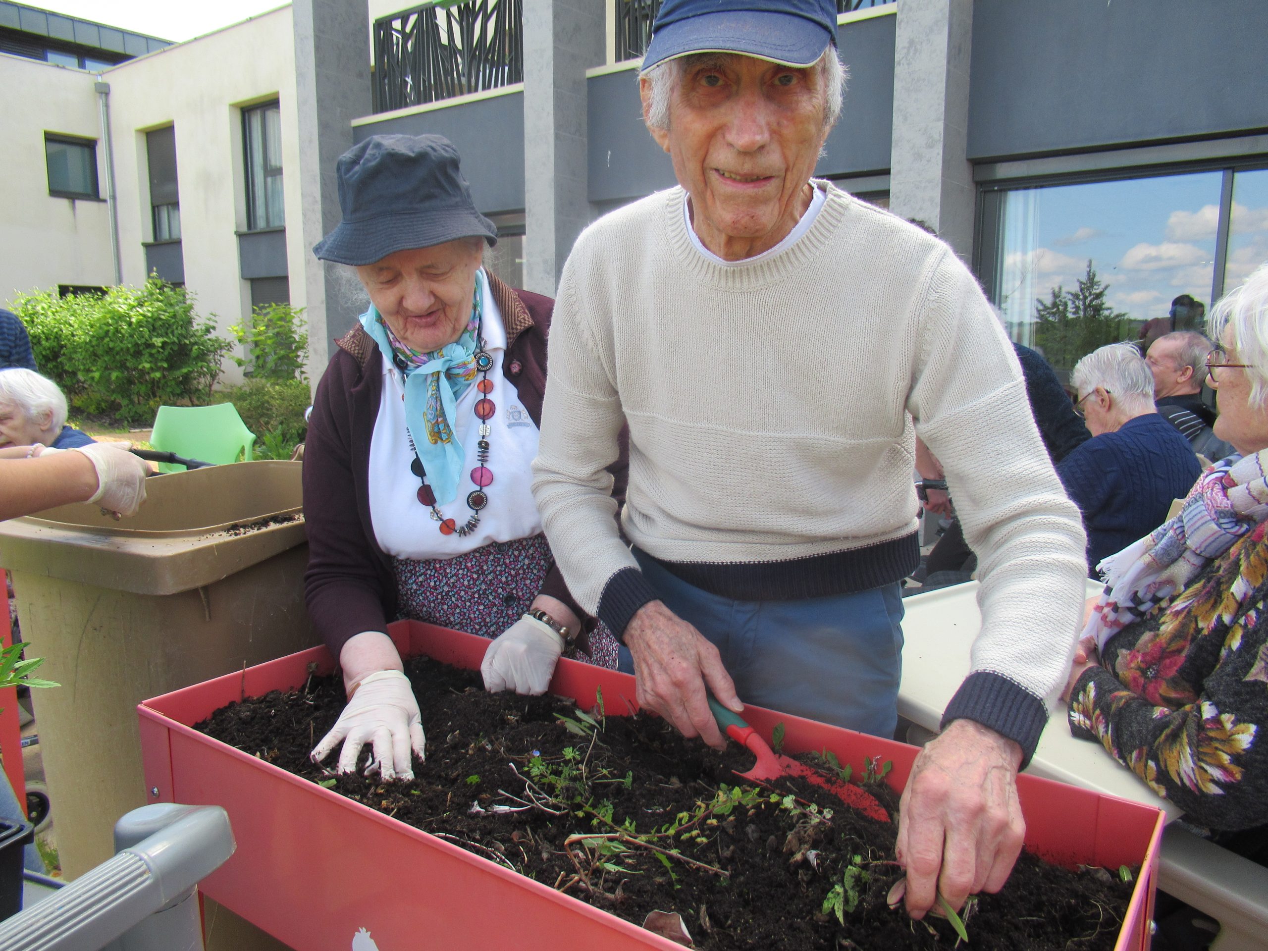 Savez-vous planter… les géraniums ?