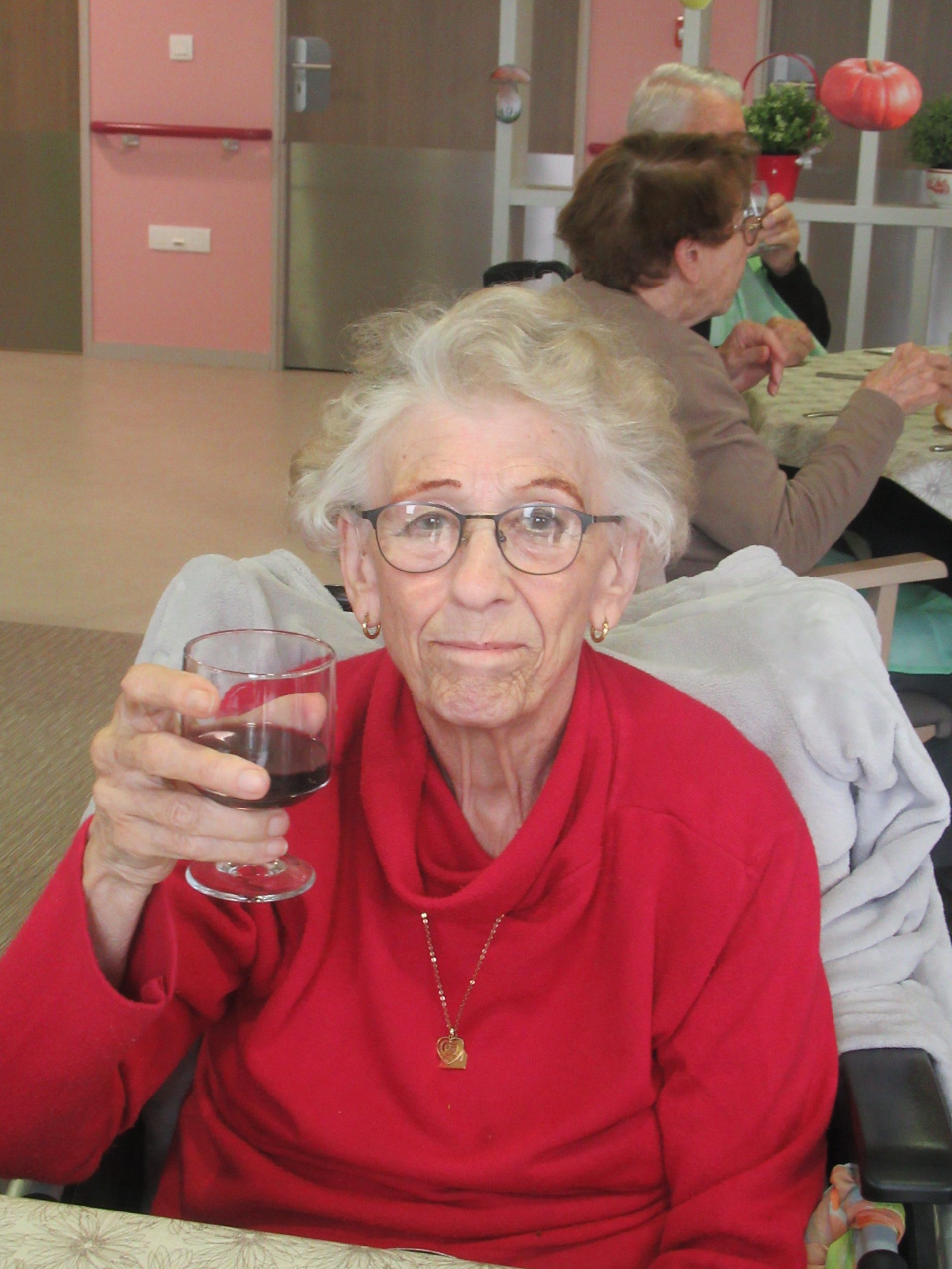 Le Beaujolais Nouveau est arrivé !