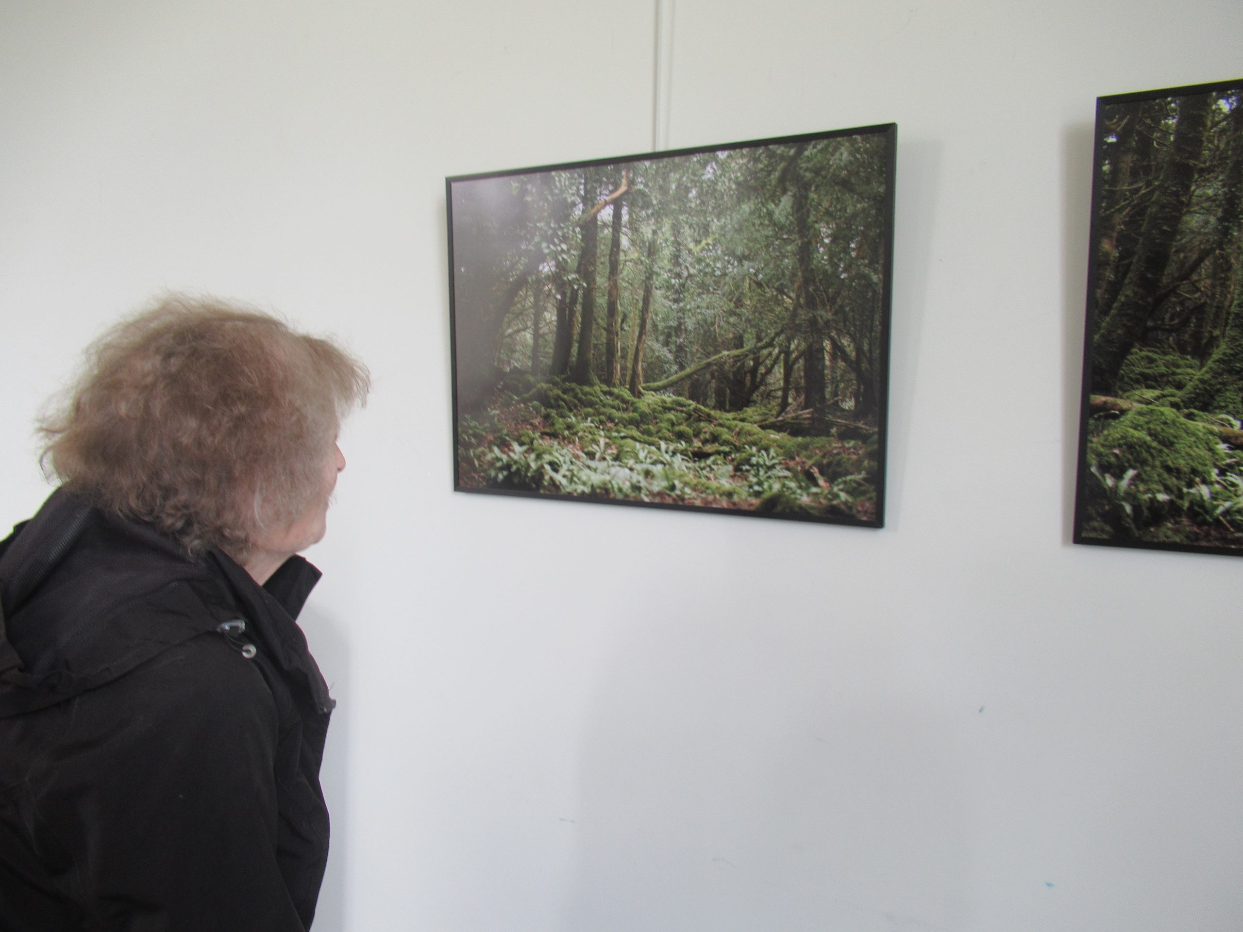 Visite de l&rsquo;expo du Centre Social