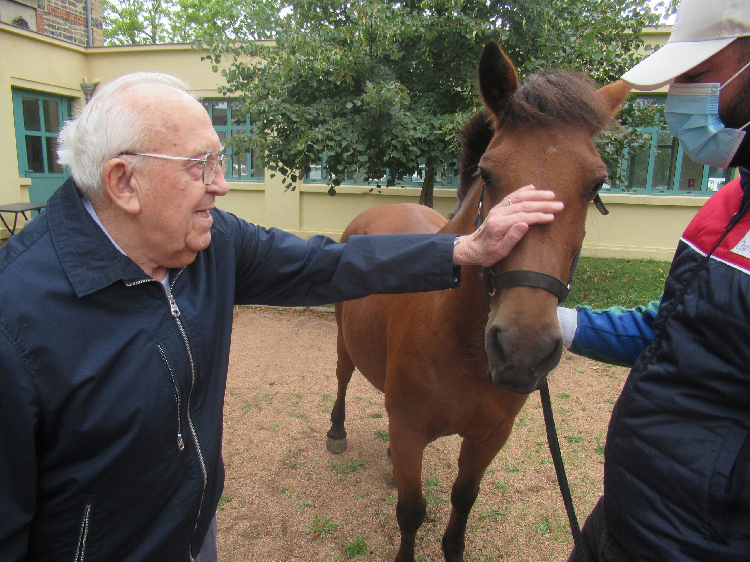 3ème séance de médiation animale avec les chevaux