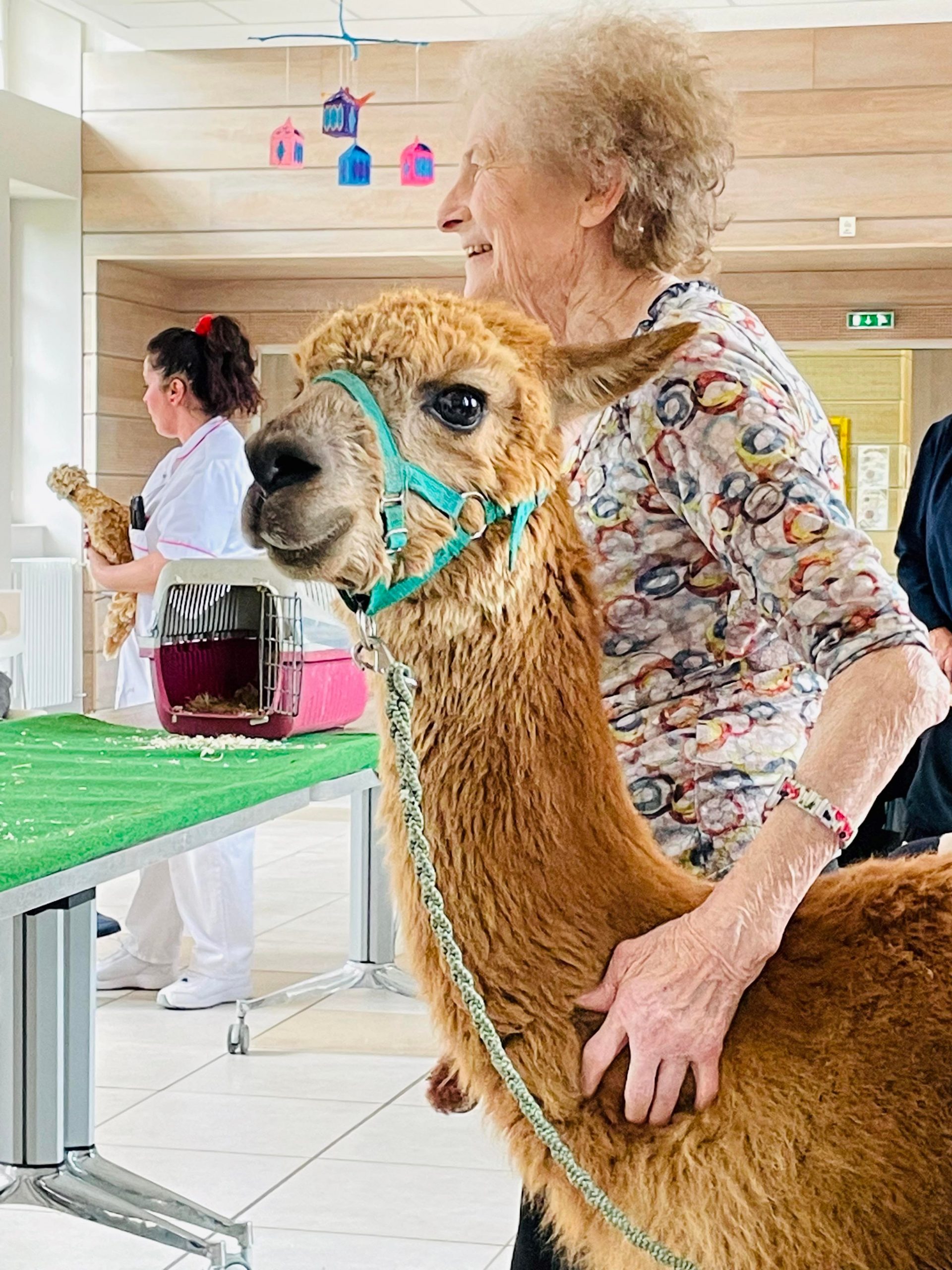 Ferme pédagogique, épisode 2