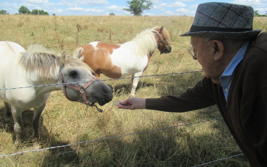 Pique-nique à la ferme