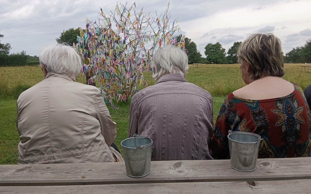 Pique-nique à la ferme