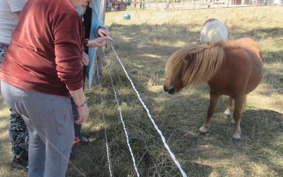 Dernière sortie à la ferme